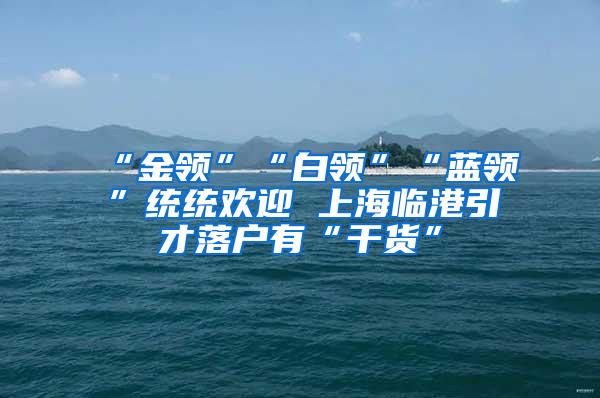 “金领”“白领”“蓝领”统统欢迎 上海临港引才落户有“干货”