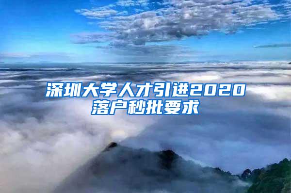 深圳大学人才引进2020落户秒批要求