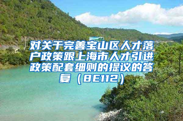 对关于完善宝山区人才落户政策跟上海市人才引进政策配套细则的提议的答复（8E112）