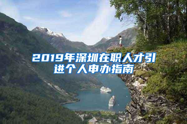 2019年深圳在职人才引进个人申办指南