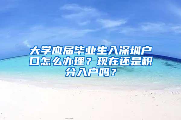 大学应届毕业生入深圳户口怎么办理？现在还是积分入户吗？