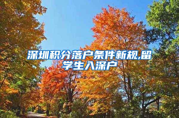 深圳积分落户条件新规,留学生入深户