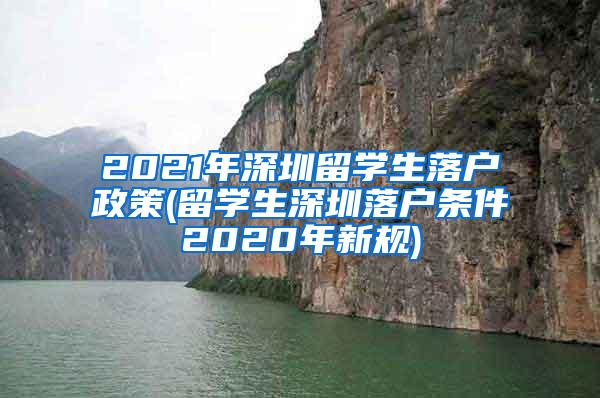 2021年深圳留学生落户政策(留学生深圳落户条件2020年新规)