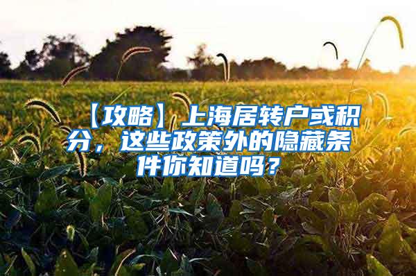 【攻略】上海居转户或积分，这些政策外的隐藏条件你知道吗？
