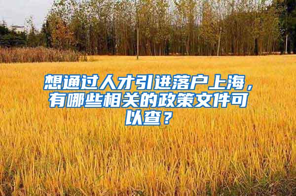 想通过人才引进落户上海，有哪些相关的政策文件可以查？