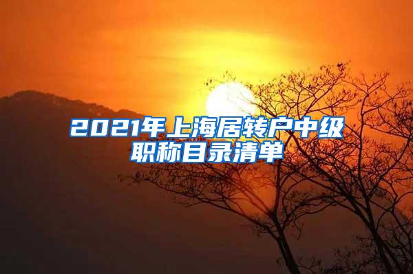 2021年上海居转户中级职称目录清单