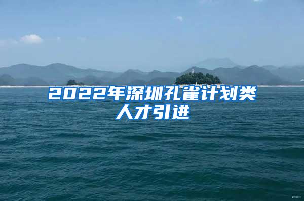 2022年深圳孔雀计划类人才引进