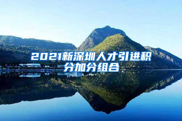 2021新深圳人才引进积分加分组合