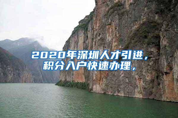 2020年深圳人才引进，积分入户快速办理，