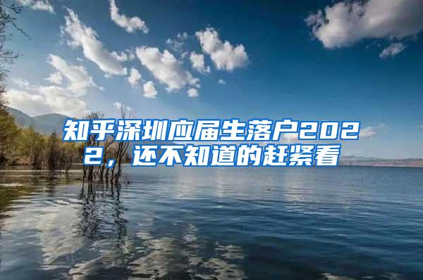 知乎深圳应届生落户2022，还不知道的赶紧看