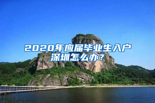 2020年应届毕业生入户深圳怎么办？