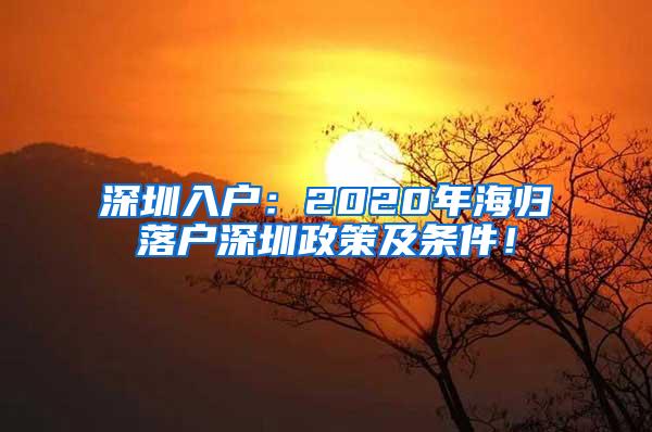 深圳入户：2020年海归落户深圳政策及条件！