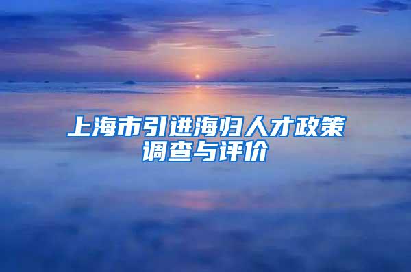 上海市引进海归人才政策调查与评价