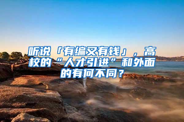 听说「有编又有钱」，高校的“人才引进”和外面的有何不同？