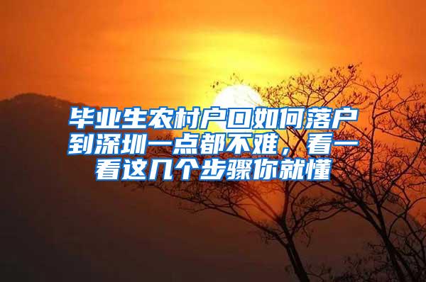 毕业生农村户口如何落户到深圳一点都不难，看一看这几个步骤你就懂