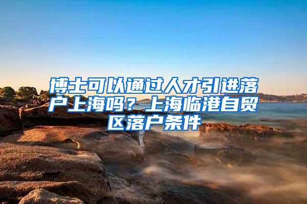 博士可以通过人才引进落户上海吗？上海临港自贸区落户条件