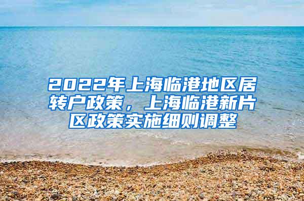 2022年上海临港地区居转户政策，上海临港新片区政策实施细则调整