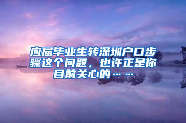 应届毕业生转深圳户口步骤这个问题，也许正是你目前关心的……