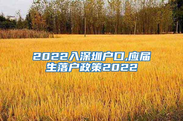 2022入深圳户口,应届生落户政策2022