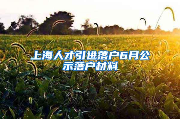 上海人才引进落户6月公示落户材料