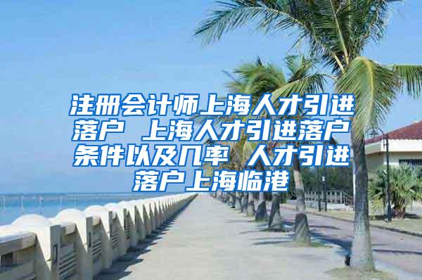 注册会计师上海人才引进落户 上海人才引进落户条件以及几率 人才引进落户上海临港