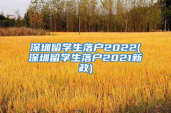 深圳留学生落户2022(深圳留学生落户2021新政)