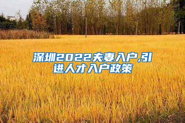 深圳2022夫妻入户,引进人才入户政策