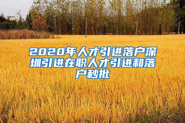 2020年人才引进落户深圳引进在职人才引进和落户秒批