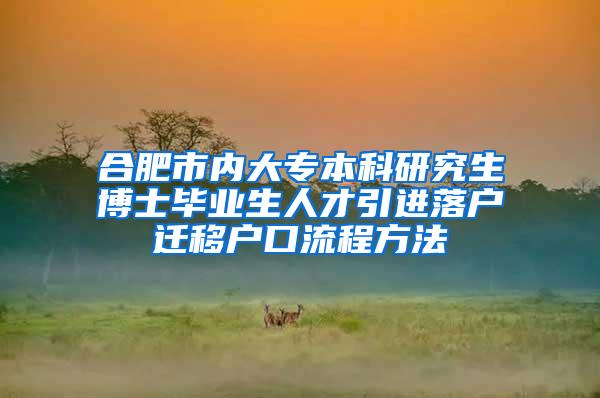 合肥市内大专本科研究生博士毕业生人才引进落户迁移户口流程方法