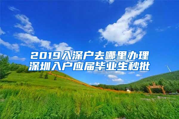 2019入深户去哪里办理深圳入户应届毕业生秒批