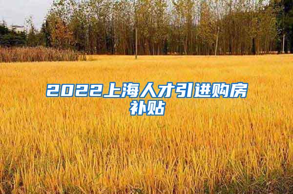 2022上海人才引进购房补贴