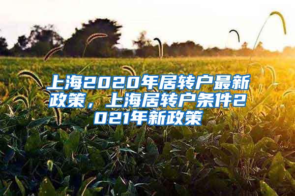 上海2020年居转户最新政策，上海居转户条件2021年新政策