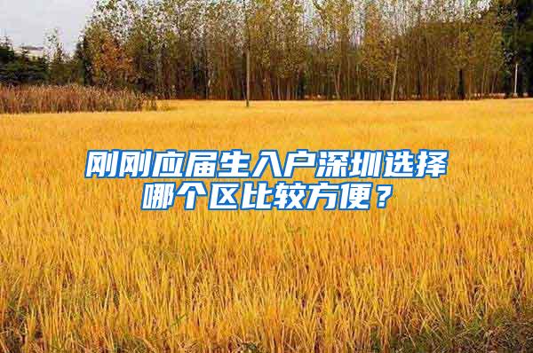 刚刚应届生入户深圳选择哪个区比较方便？