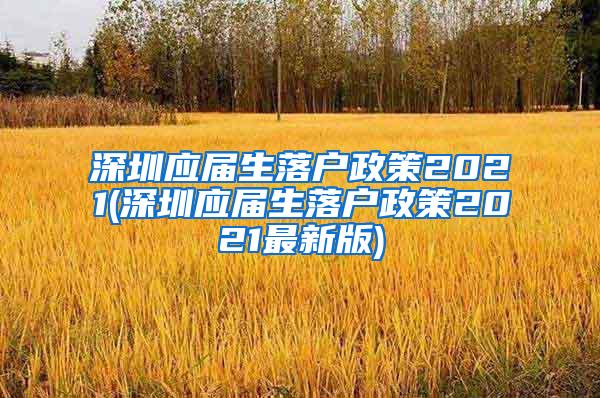 深圳应届生落户政策2021(深圳应届生落户政策2021最新版)