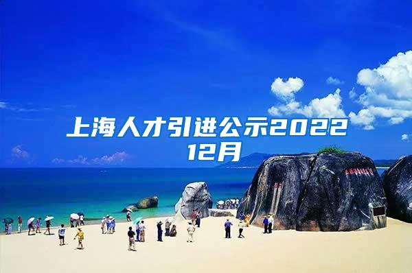 上海人才引进公示2022 12月