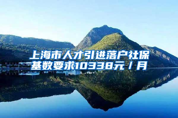 上海市人才引进落户社保基数要求10338元／月