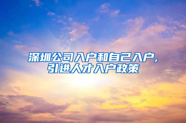 深圳公司入户和自己入户,引进人才入户政策