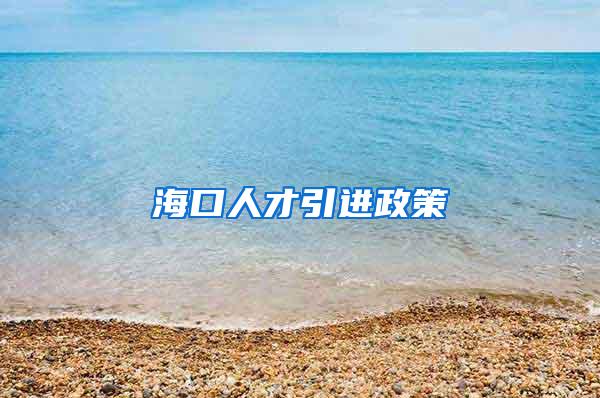 海口人才引进政策