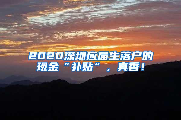 2020深圳应届生落户的现金“补贴”，真香！