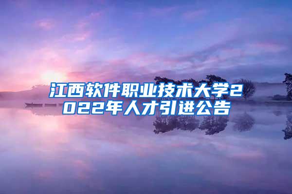 江西软件职业技术大学2022年人才引进公告