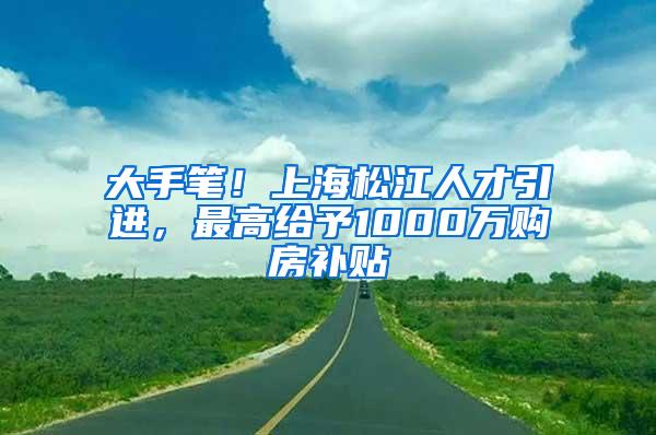 大手笔！上海松江人才引进，最高给予1000万购房补贴