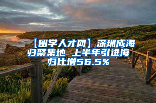 【留学人才网】深圳成海归聚集地 上半年引进海归比增56.5%