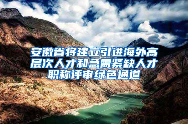 安徽省将建立引进海外高层次人才和急需紧缺人才职称评审绿色通道