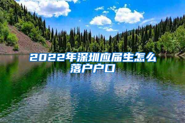 2022年深圳应届生怎么落户户口