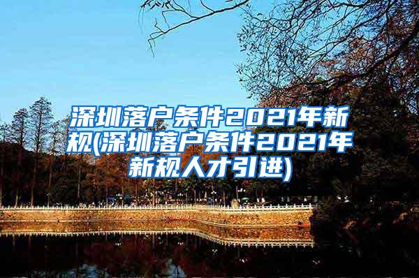 深圳落户条件2021年新规(深圳落户条件2021年新规人才引进)