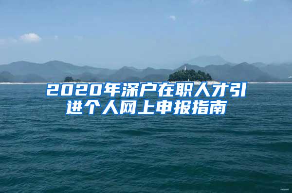 2020年深户在职人才引进个人网上申报指南