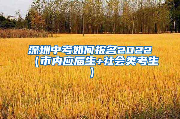 深圳中考如何报名2022（市内应届生+社会类考生）