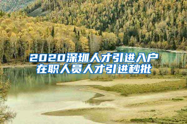 2020深圳人才引进入户在职人员人才引进秒批