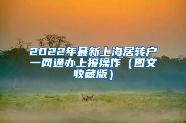 2022年最新上海居转户一网通办上报操作（图文收藏版）