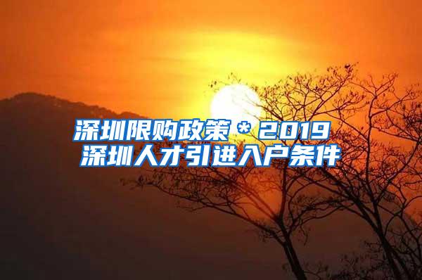 深圳限购政策＊2019 深圳人才引进入户条件